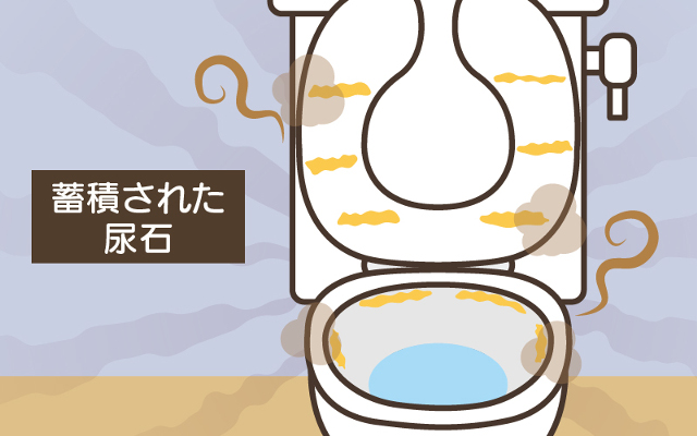 トイレが下水臭い原因３.蓄積された尿石