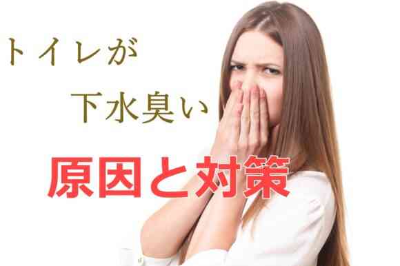 トイレが急に下水臭い！原因と対策