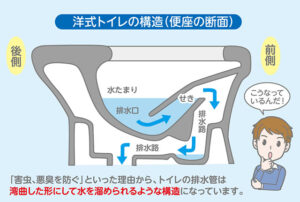 洋式トイレの構造｜便器の断面図