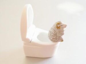 トイレの正常な水位の目安
