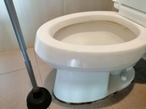 スッポンでトイレのつまりが解消できない場合