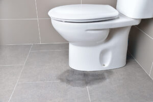 トイレの床にじわじわと水漏れする原因
