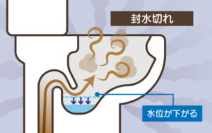 トイレが下水臭い原因2.封水切れ