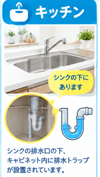 キッチンの排水トラップ