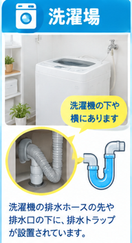 洗濯機の排水トラップ
