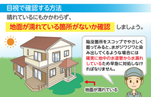 目視で水漏れ事故が起きていないか確認してみる