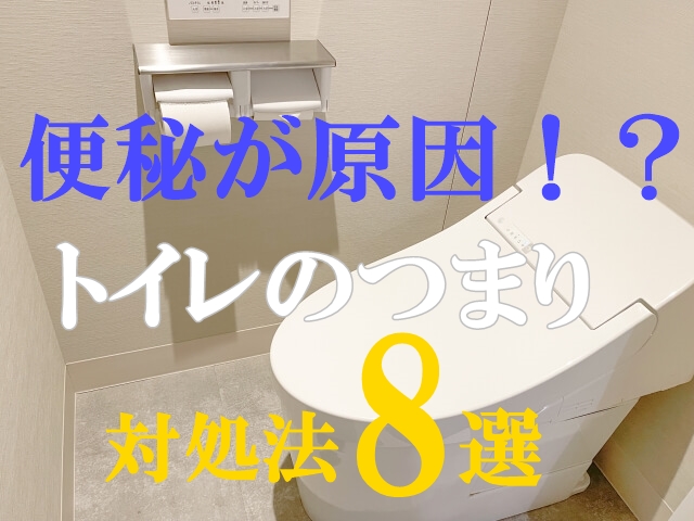 大便（うんち）でトイレがつまる原因と８つの解消方法をご紹介