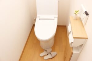 大便がトイレに詰まった場合の対処方法