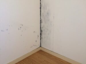 壁からの水漏れを放置する危険性