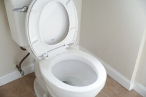 スッポンで治らないトイレつまりの原因
