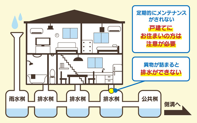 キッチン・台所が詰まる原因➂　排水桝がつまっている