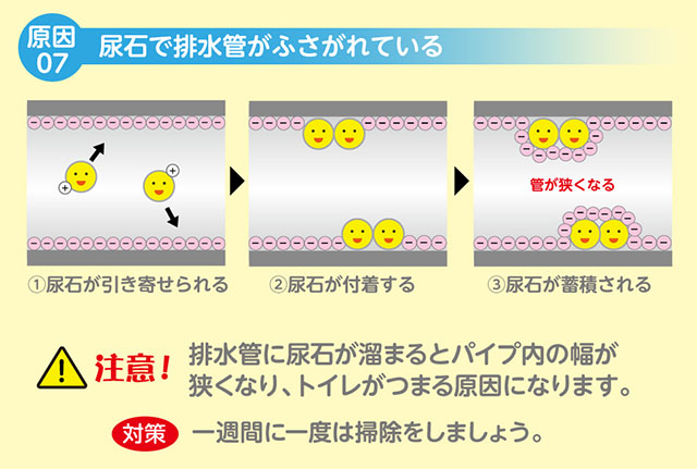 トイレが詰まる原因➆　排水管が詰まっている