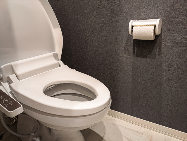 トイレが流れないトラブルを予防する方法