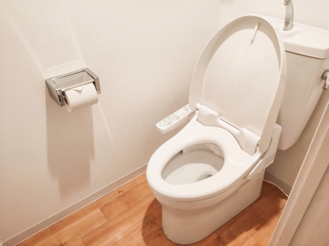 トイレが流れないのはなぜ？原因と今すぐできる解決方法を完全解説