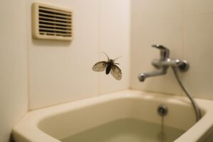 お風呂場のコバエはなぜ発生する？正体・原因・駆除・予防まで徹底解説