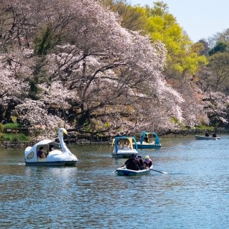 三鷹市|井の頭恩賜公