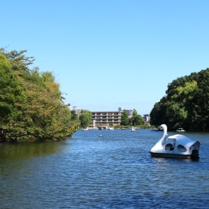 練馬区｜石神井公園