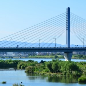 東淀川区　淀川河川敷