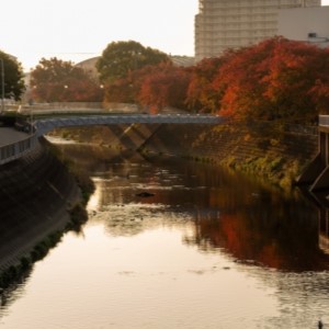 平野区　平野川