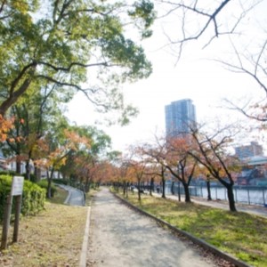 毛馬桜之宮公園