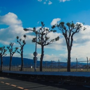 八尾市 八尾空港