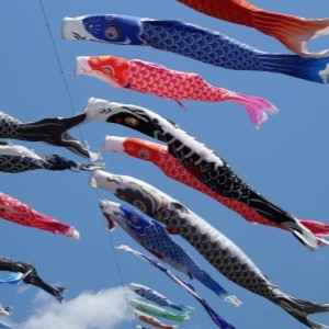 高槻市 芥川桜堤公園