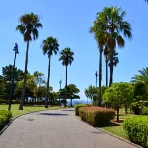 貝塚市 二色の浜公園