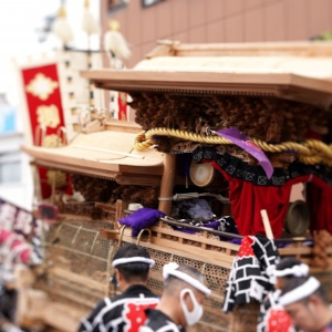 岸和田市　だんじり祭り