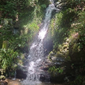 島本町 水無瀬の滝