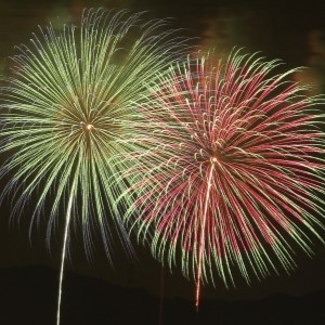 富田林市 PL花火大会