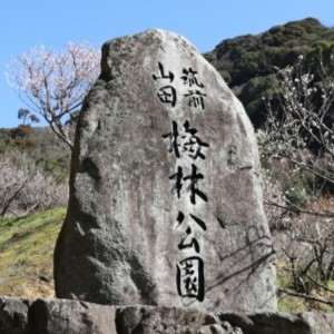 福岡県嘉麻市｜梅林公園