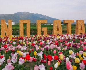 福岡県直方市|直方河川敷公園