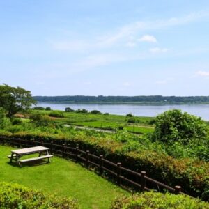 印西市|印旛沼公園