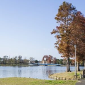 三郷市|みさと公園