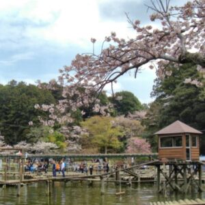 野田市｜清水公園