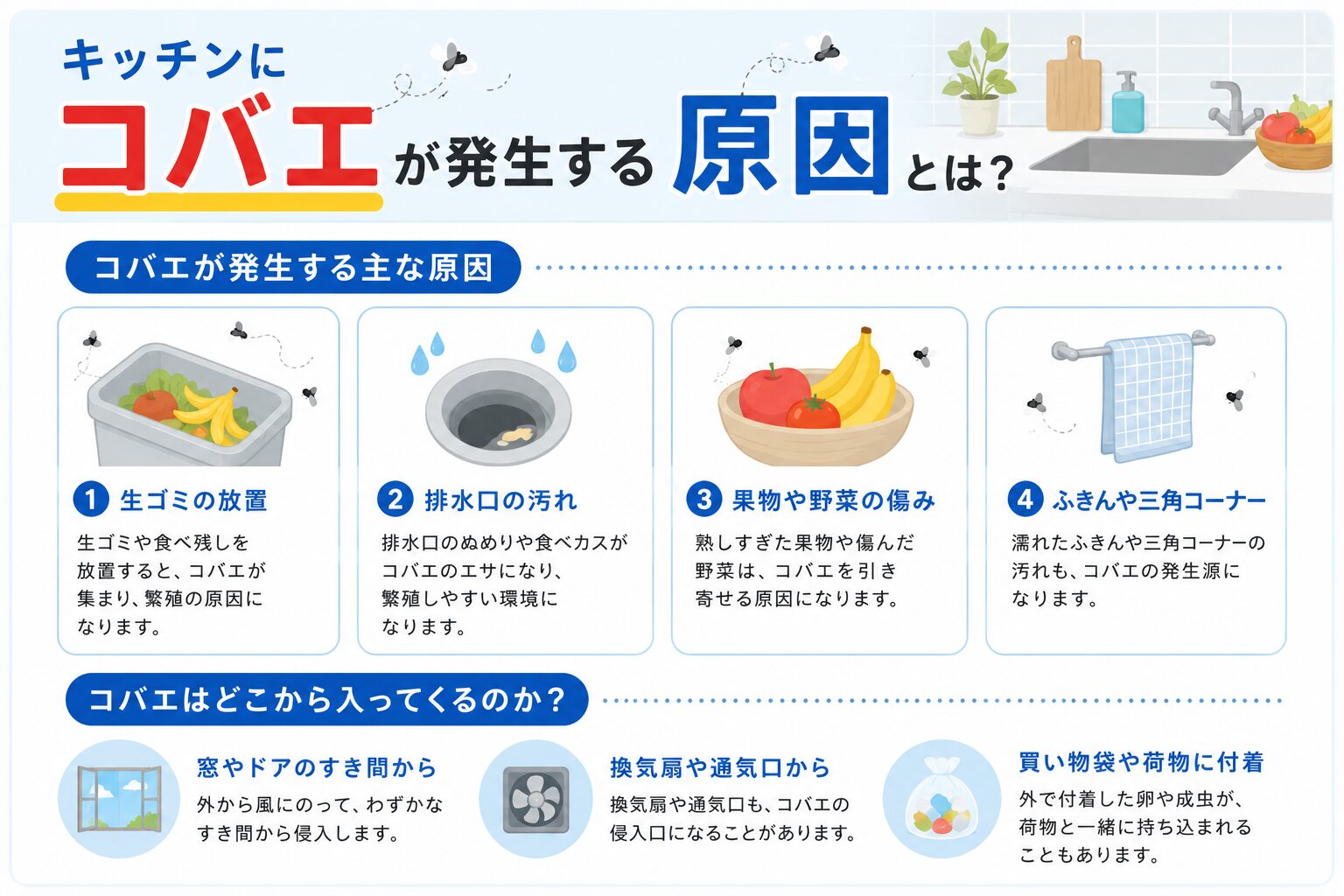 キッチンにコバエが発生する原因とは？どこから入ってくるのか