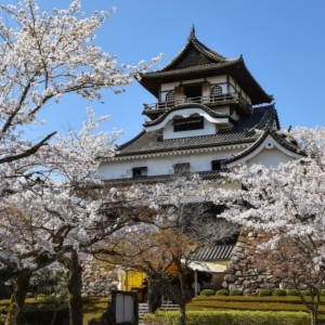 春日井市|犬山城