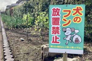 犬のうんちの正しい処理方法