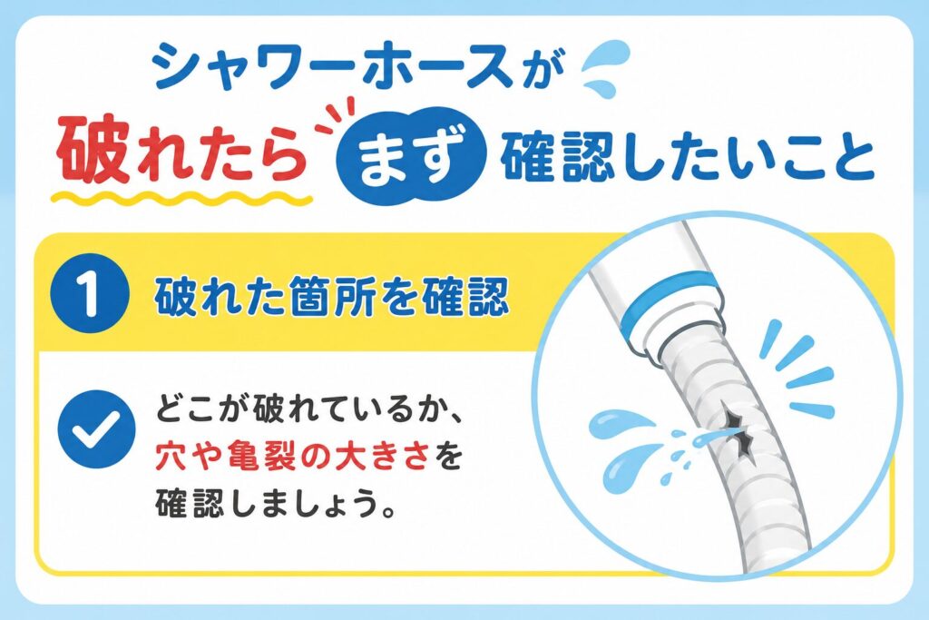 シャワーホースが破れたらまず確認したいこと