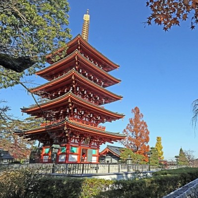 日野市｜高幡山明王院金剛寺(高幡不動尊)