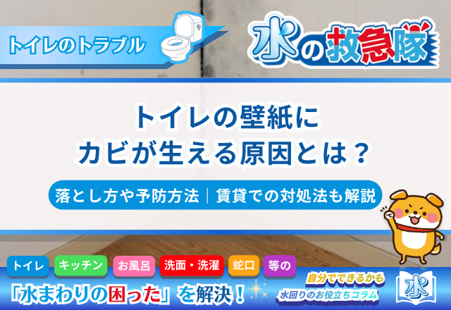 トイレの壁紙にカビが生える原因とは？落とし方や予防方法、賃貸での対処法も解説