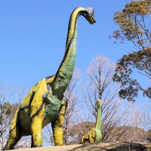 豊橋市｜のんほいパーク