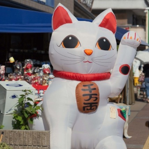 瀬戸市｜猫まつり